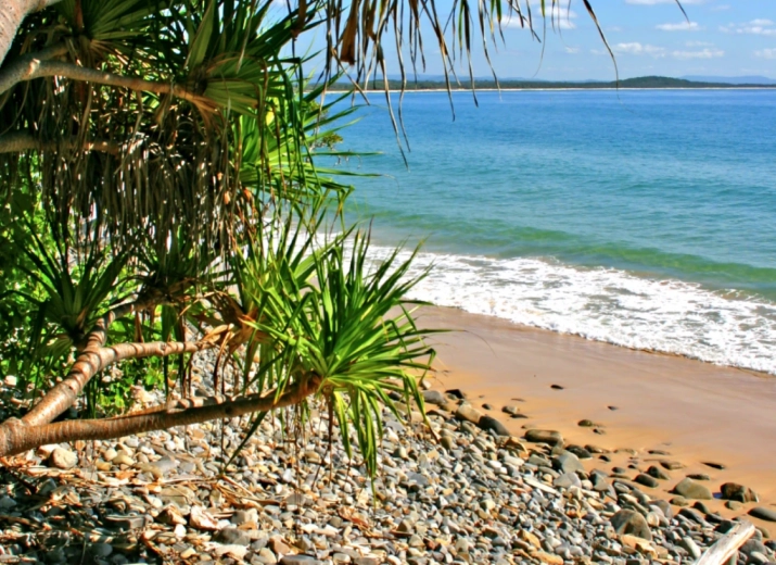 <strong>Por que</strong> </br>Estudar na Sunshine?